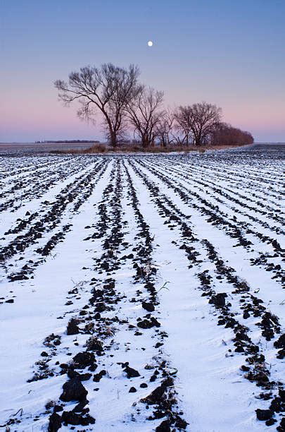 190+ North Dakota Winter Landscape Midwest Usa Stock Photos, Pictures ...