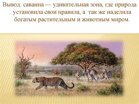 Саванна. Климат, растительный, и животный мир - презентация онлайн