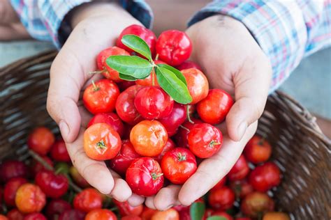 Acerola - warto ją spożywać - Kaczmarek Komponenty