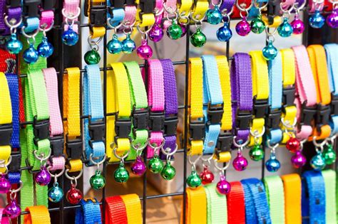 The Best Pet Stores In San Antonio According To A Local Pet Lover