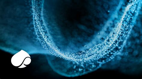 Investment trends 2025 - Capgemini