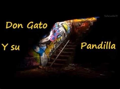 Difusion DON GATO Y SU PANDILLA Regresa Amor YouTube Music