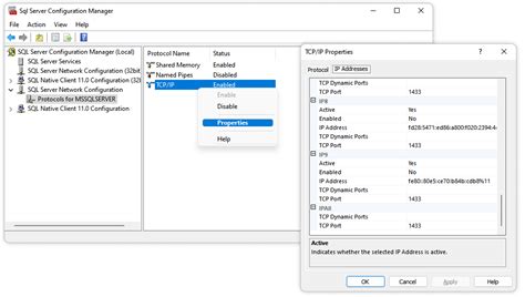 Full Tutorial Of Microsoft Sql Server Ports Devart Blog