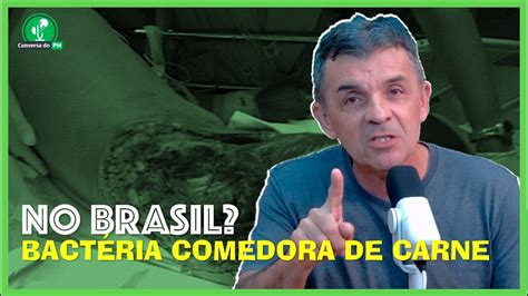 Bact Ria Comedora De Carne No Brasil Youtube