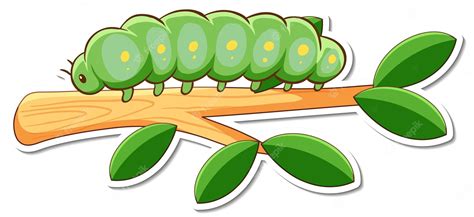 Green Caterpillar Cartoon Caterpillar Map Of Caterpillars Clip Art