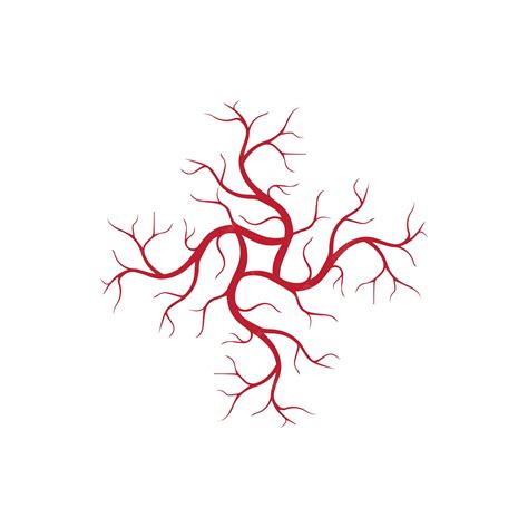 Diseño De Vasos Sanguíneos Rojos De Venas Humanas Y Arterias