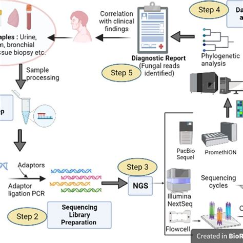 Workflow Of Dynamiker Cryptococcal Antigen Lateral Flow Assay Lfa For Download Scientific