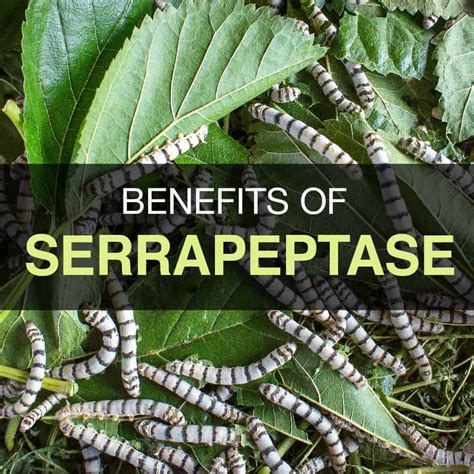 Serrapeptase. Unlock the Benefits. Post-Surgery and Workout Recovery.
