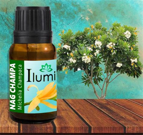 Aceite Esencial De Nag Champa 10 Ml Djinn Guatemala