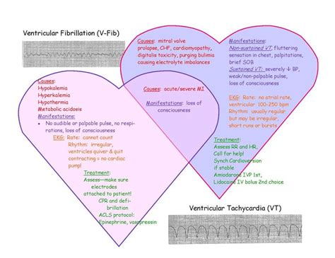 V Fib And V Tach Venn Diagram 1650×1275 Pixels Nurse