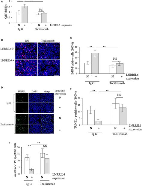 Validation Of The IL6STAT3 Pathwayrelated Mechanism Using The IL6