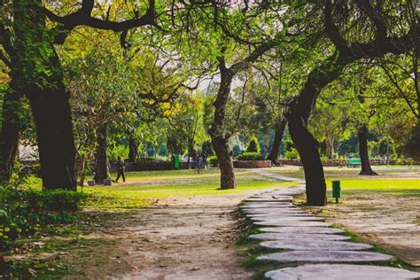 10 Acciones Para Cuidar Las áreas Verdes De Tu Comunidad