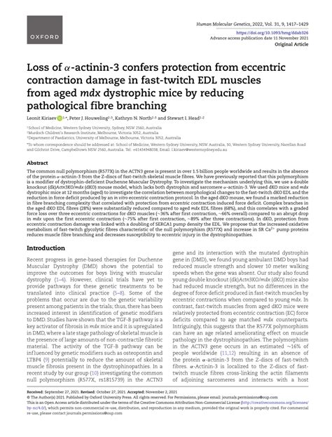 PDF Loss of α actinin 3 confers protection from eccentric contraction