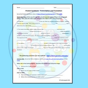 Protein Synthesis Internet Activites Digital and Printable by The ... 