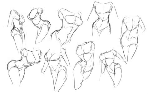 Female Figure Drawing Reference