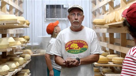 Udderly Ez Sheep Milking For Cheese Youtube