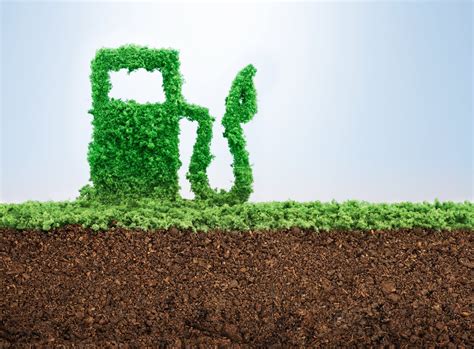 Bioenergy Conference
