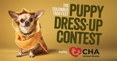 Taco Fest Puppy Dress Up Contest 2024 Genoa Park Columbus 19 May