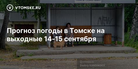 Прогноз погоды в Томске на выходные 14-15 сентября - vtomske.ru