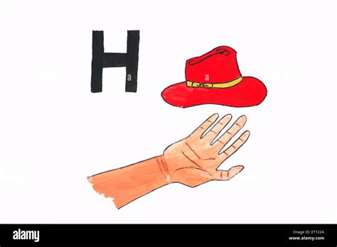 horizontal cut  stock images pictures alamy