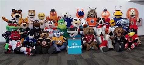 NHL Mascots - SportMascots.com