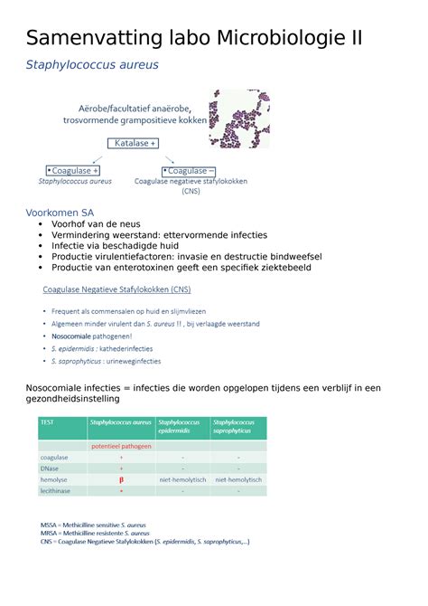 Samenvatting Labo Microbiologie II Samenvatting Labo Microbiologie II