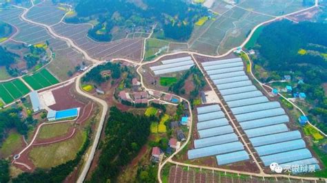 現代農業產業園，國家政策焦點、鄉村振興抓手、省部重點項目！ 每日頭條