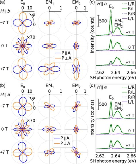 Pdf Exciton Magnon Splitting In The Van Der Waals Antiferromagnet