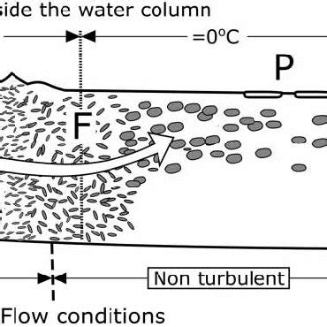 | Development of frazil ice in a river. A: anchor ice; D: deposition;... | Download Scientific ...