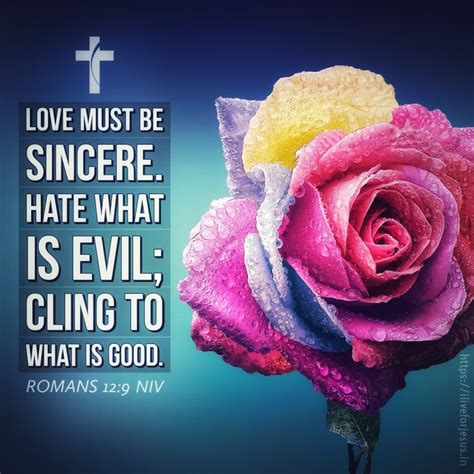 Love Must Be Sincere I Live For Jesus