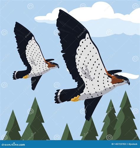 Beautiful Hawks Flying Majestic Birds Royalty Free Cartoon