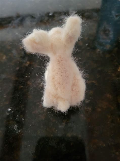 He's finally done! : r/Rabbits