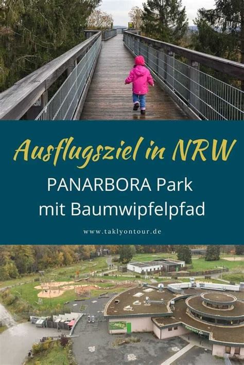 Panarbora Waldbr L Das Gibt Es Beim Baumwipfelpfad In Nrw Ausflug