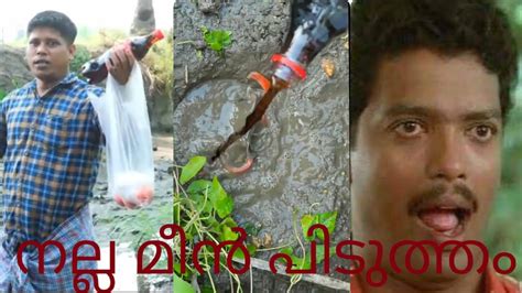 കൊള്ളാലോ മീൻപിടുത്തം Troll Malayalam Fishing 🤪🤪 Youtube