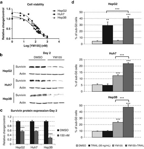 Survivin Inhibition Sensitizes Hcc Cells To Trail Induced Apoptosis