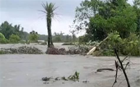 Flood In Seven Districts Of Assam Affected More Than 29 Thousand People Of 122 Villages