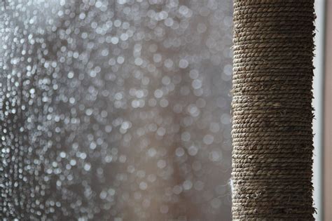 Дъжд Капки Водна Капка - Безплатни фотографии на Pixabay - Pixabay