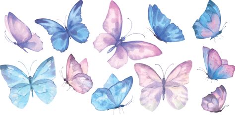 Un Vector Conjunto De Delicado Linda Rosado Y Azul Mariposas Acuarela