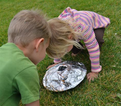 A School Of Fish Shield Volcano Model