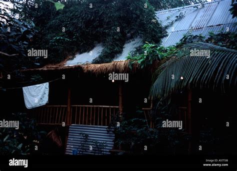 Malaysian Hut Tropical Biome Eden Project Cornwall England Uk Stock