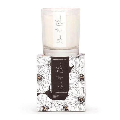 The Aromatherapy Co Brands Big W