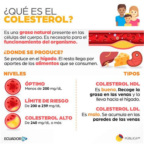 InfÓrmate ¿sabes Cuál Es El Colesterol Hdl Y El Ldl En La Siguiente