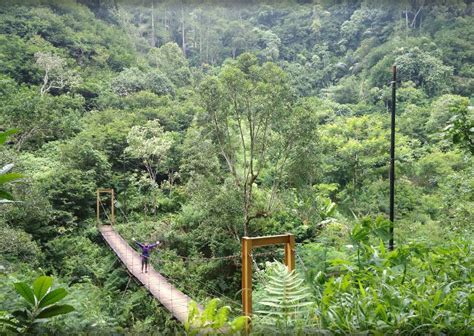 Paket Wisata Exploring Nature Di Taman Hutan Raya Ir Juanda Bandung