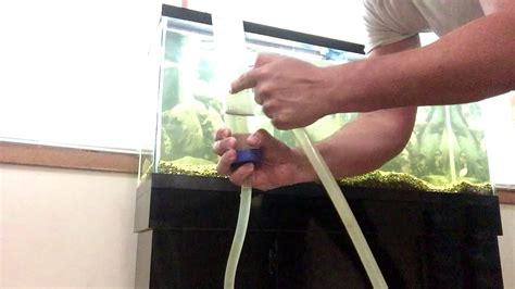 How To Siphon Your Fish Tank Over And Over Without Starting Over Youtube