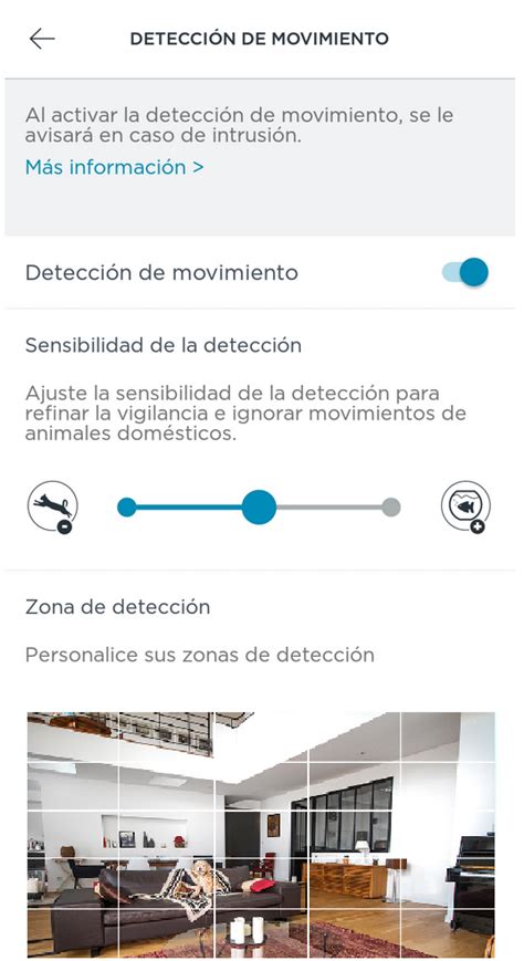 C Mo Configurar La Detecci N De Movimiento Antes De Elegir Somfy