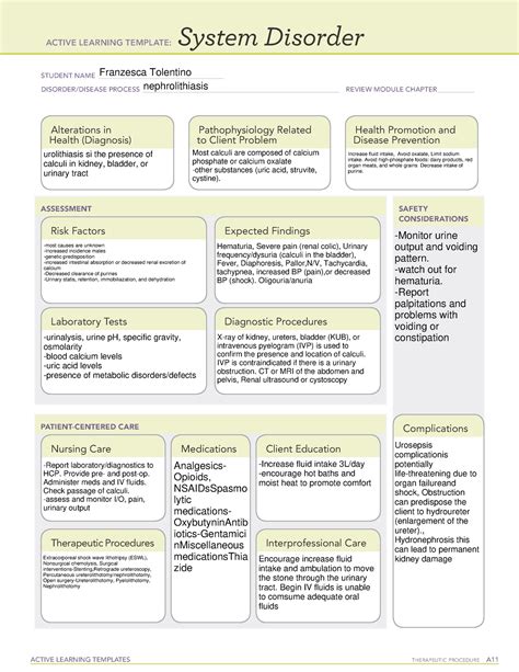 Active Learning Template Sys Dis Renalcalculi ACTIVE LEARNING