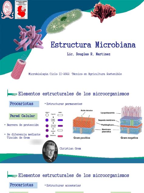 Unidad 3 Estructura Microbiana Pdf