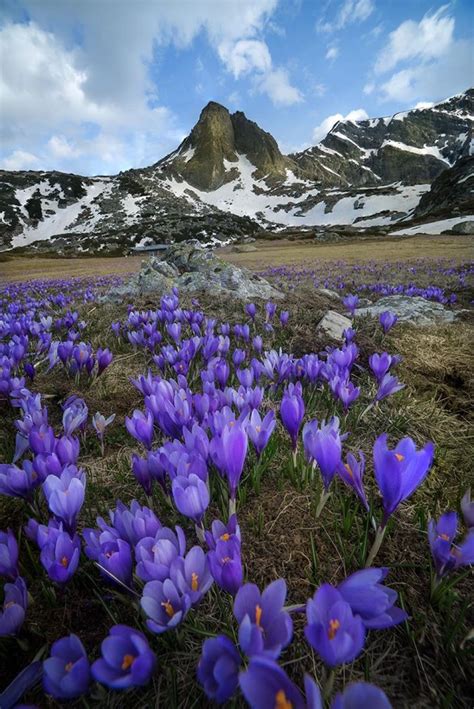 The Beautiful 18 Pictures Of Bulgaria Captured By Nikolai Alexiev