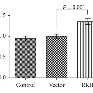 Overexpression Of MiR 98 Enhances Effects Of RKIP On The Proliferation