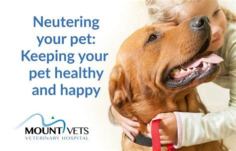 Neutering Your Pet Keeping Your Pet Healthy And Happy